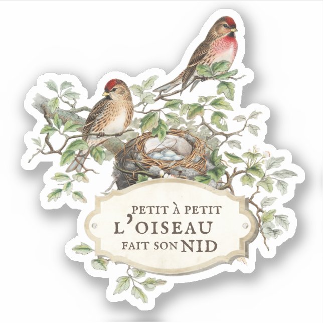 Autocollant du journal esthétique du nid d'oiseaux (Devant)