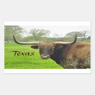 Autocollant du Texas Longhorn le "Texas"