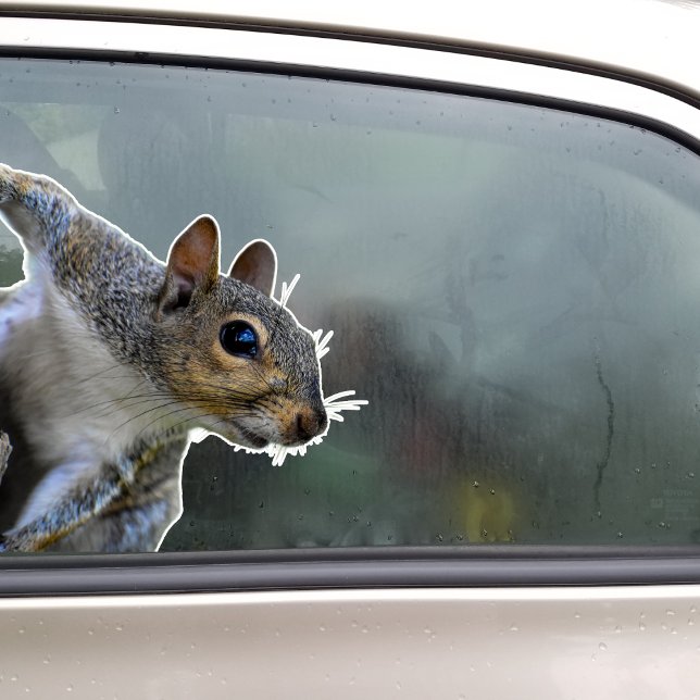 Autocollant Écureuil (Squirrel Sticker)