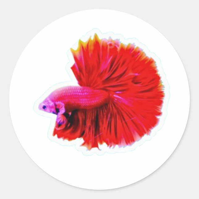 Autocollant Elegant Red Rose Tail Betta - Luxe Flo (Devant)
