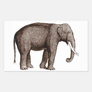 Autocollant éléphant
