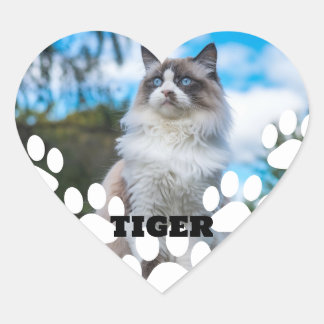 Autocollant en forme de cœur avec photo de chat pe