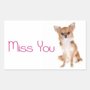 Autocollant Étiquette Chien Chihuahua Miss You