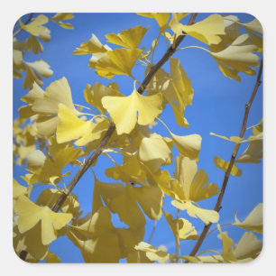 Autocollant Feuilles Automne