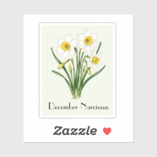 Autocollant Fleurs de Narcisse de Décembre