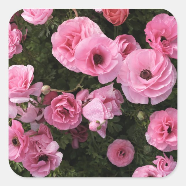 Autocollant fleurs roses (Devant)