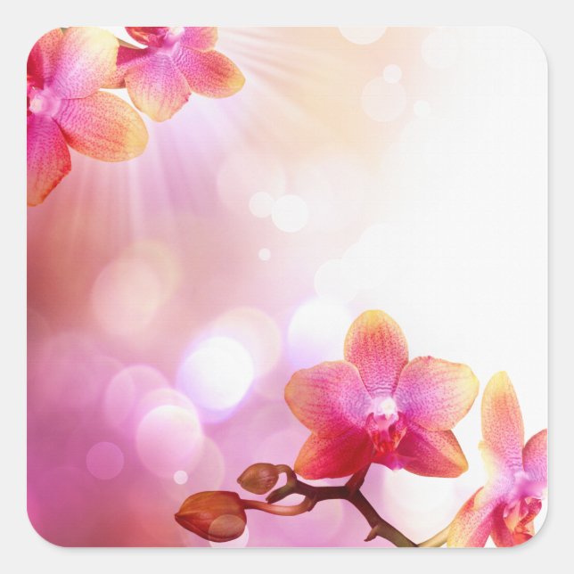 autocollant floral (Devant)