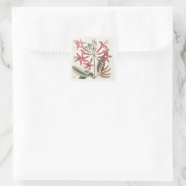 Autocollant floral de chèvrefeuille rose droit (Sac)