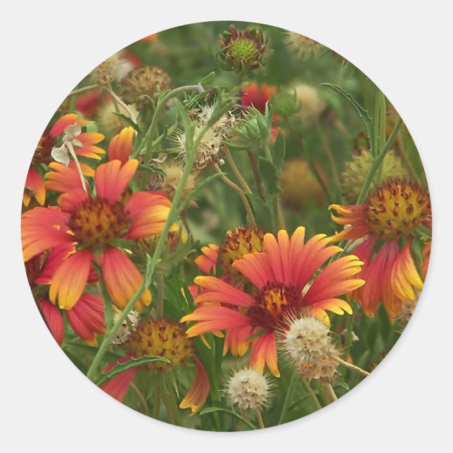 autocollant floral d'été (Devant)