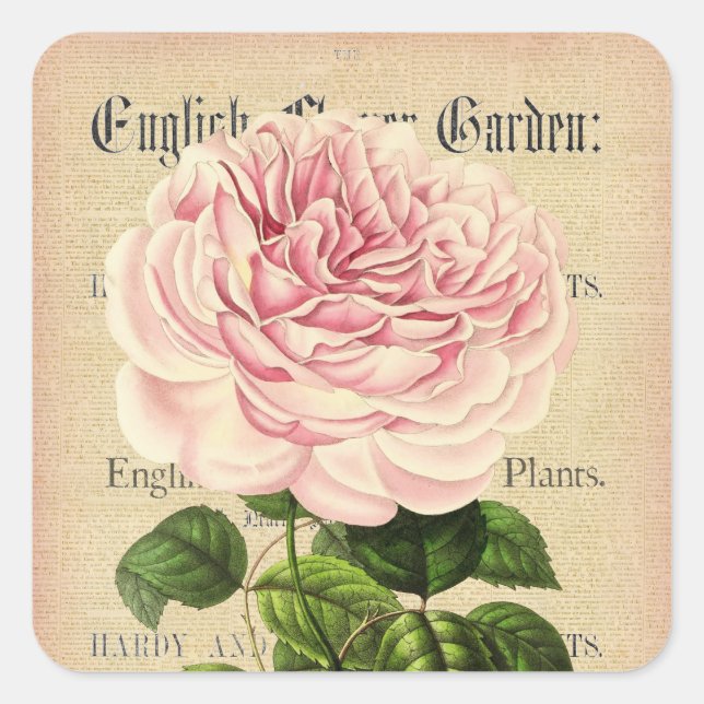Autocollant floral rose vintage (Devant)