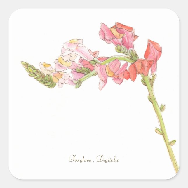 Autocollant Foxglove (Devant)