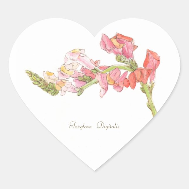 Autocollant Foxglove (Devant)