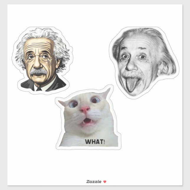 Autocollant génial Einstein et chat hilarant  (Feuille)