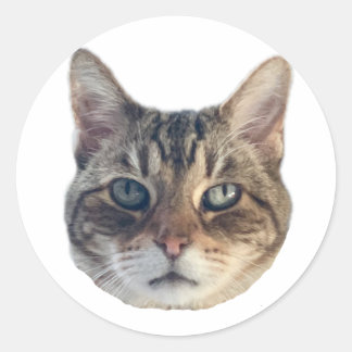 Autocollant Geronimo