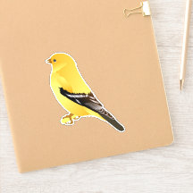 Autocollant Goldfinch