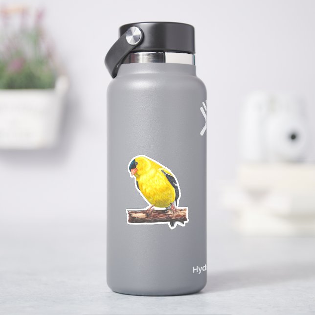 Autocollant Goldfinch américain (HydroFlask)