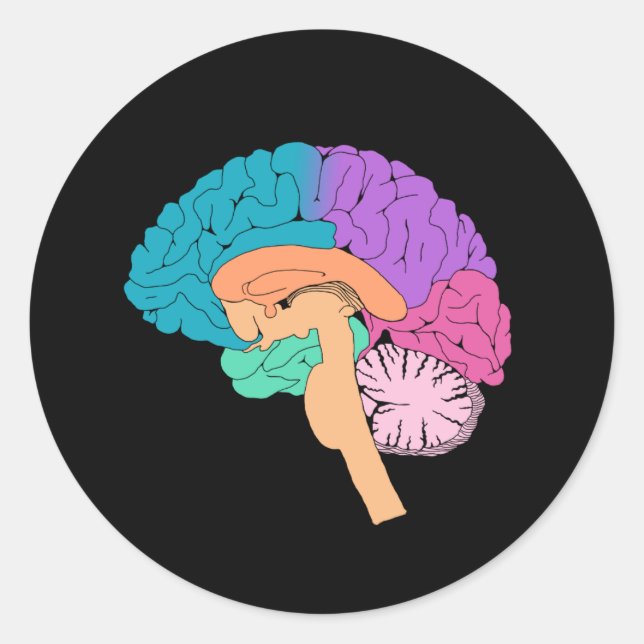 Autocollant Half Brain Science (Devant)