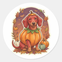 Autocollant Halloween Costume Citrouille Teckel