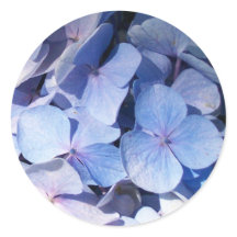 Autocollant Hydrangea