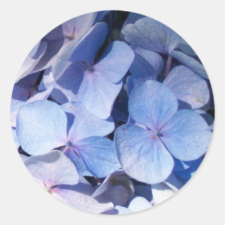 Autocollant Hydrangea
