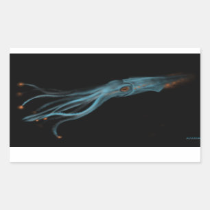 Autocollant hypothétique de calmar