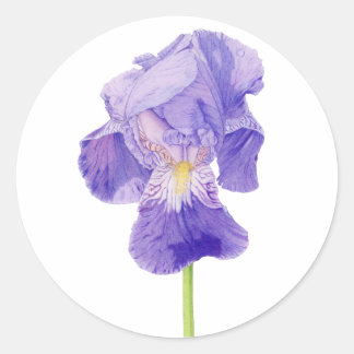 Autocollant Iris Violet