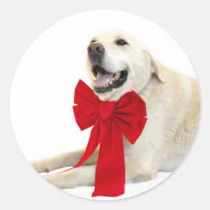 Autocollant jaune de Noël de laboratoire