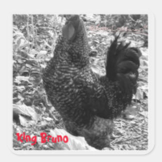 Autocollant King Bruno