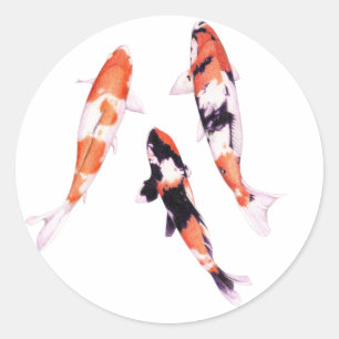 Autocollant Koi flottant