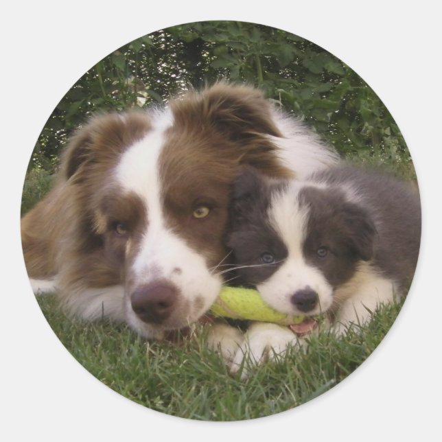 Autocollant Kun et Vir (Devant)