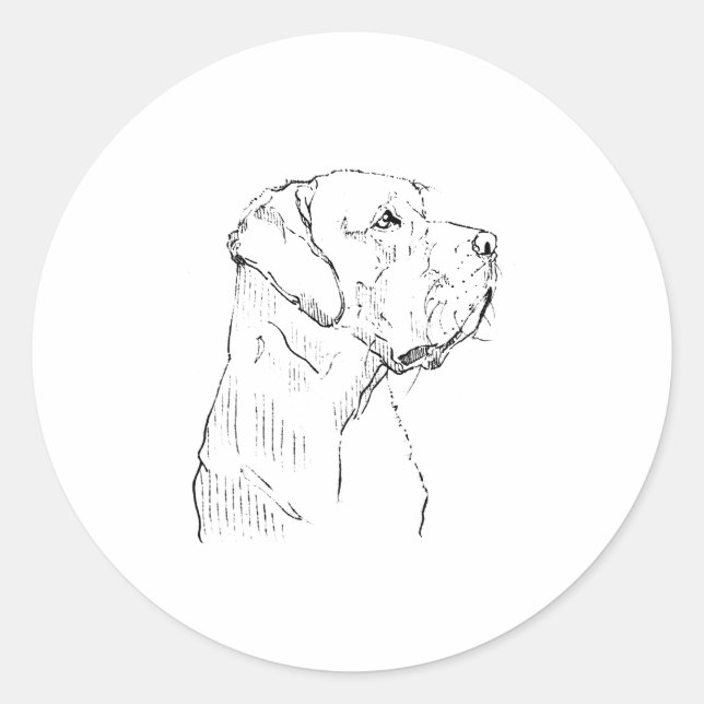Autocollant Labrador Retriever (Devant)