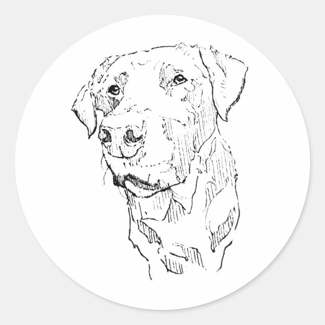 Autocollant Labrador Retriever (Devant)