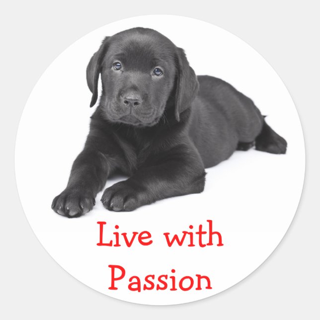 Autocollant Labrador Retriever chiot vit avec pass (Devant)