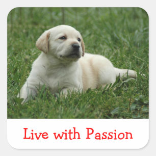 Autocollant Labrador Retriever chiot Vivre avec pa