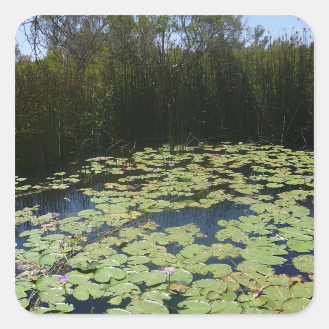 Autocollant Lily Pads (Devant)