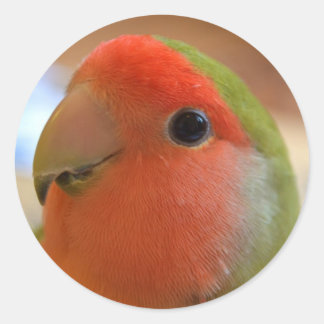 Autocollant Lovebird