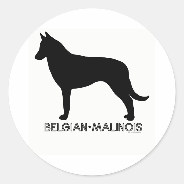 Autocollant Malinois belge (Devant)