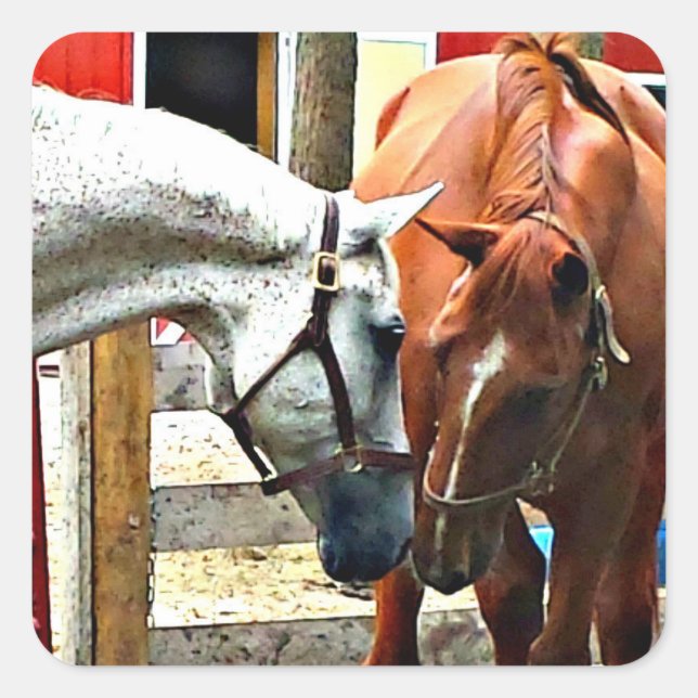 Autocollant meilleur Cheval des amis (Devant)