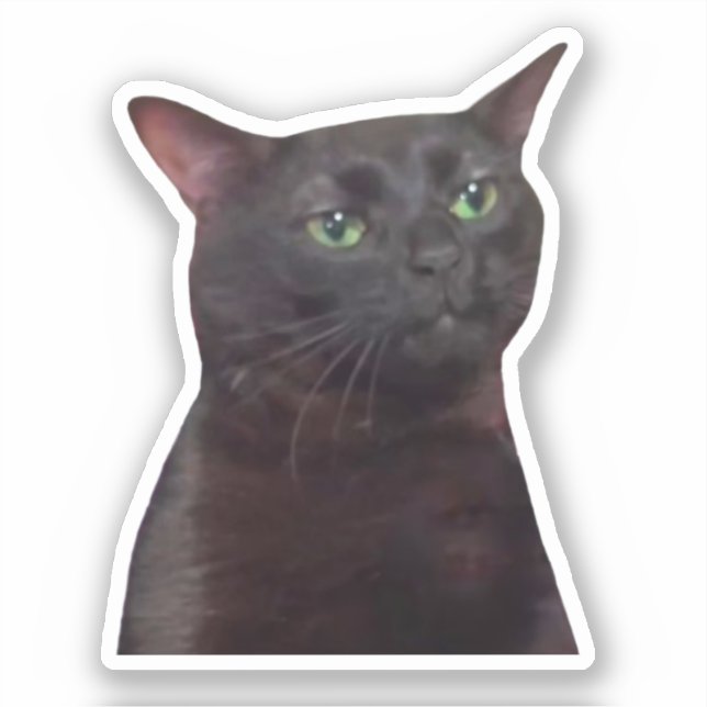 Autocollant Mème Chat Zoned Out (Recto)