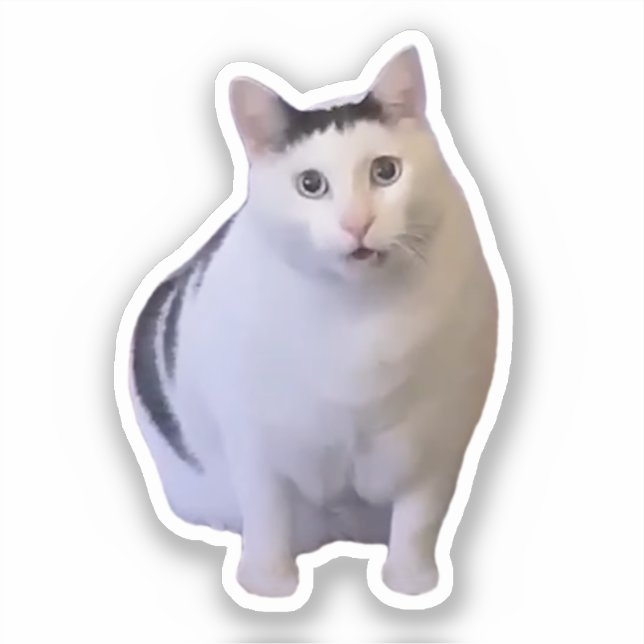 Autocollant Mème de Chat Huh (Recto)