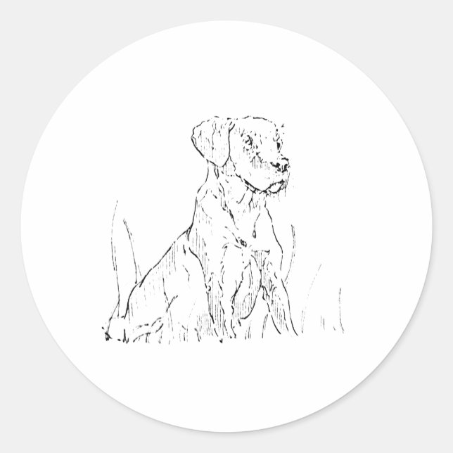 Autocollant Mignon Golden Retriever (Devant)