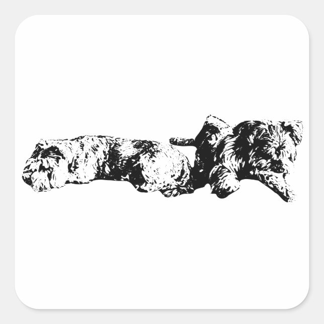 Autocollant Mini Schnauzer Duo – Noir et Blanc Aud (Devant)