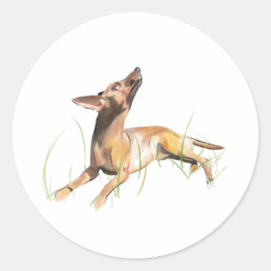 Autocollant Miniature Pinscher