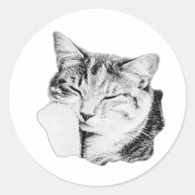 Autocollant monochrome Tabby Chat couché (Devant)