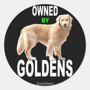 Autocollant noir par Goldens de golden retriever