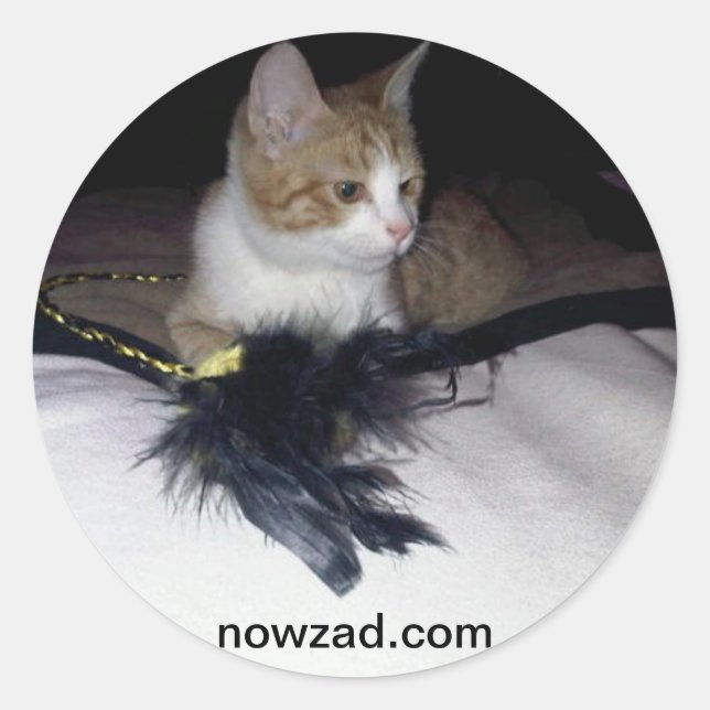 Autocollant Nowzad Pablo (Devant)