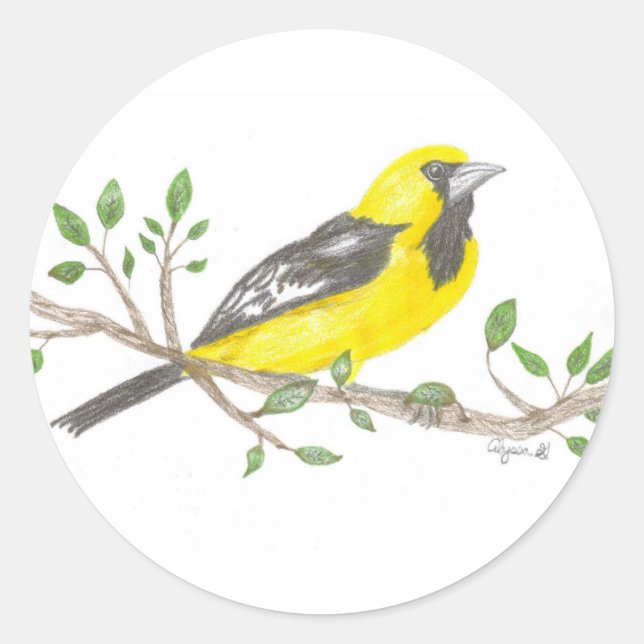 Autocollant Oriole (Devant)