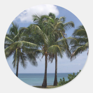 Autocollant Palm Trees