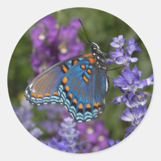 autocollant papillon #1