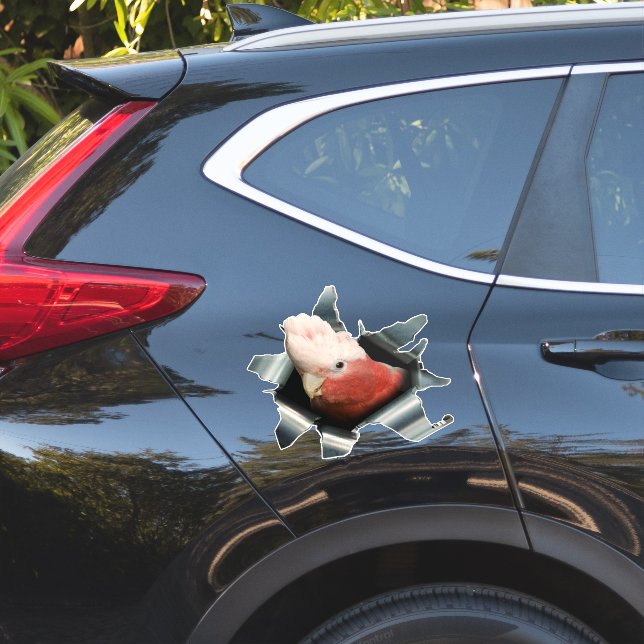 Autocollant perroquet Galah rose – Décalque d'oise (Coté voiture)